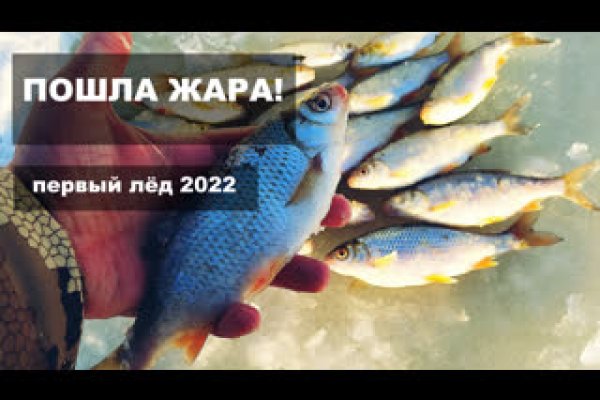 Кракен найдется все