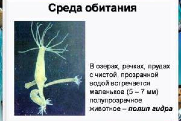 Кракен актуальная ссылка на сегодня