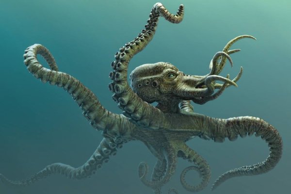 Kraken 22 аt