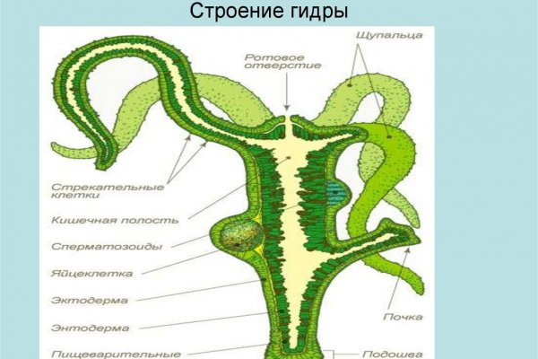 Кракен тор