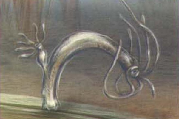 Kra38cc
