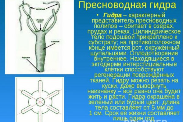 Зеркала сайта кракен tor