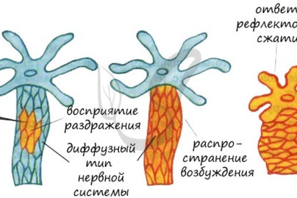 Зайти на сайт кракен