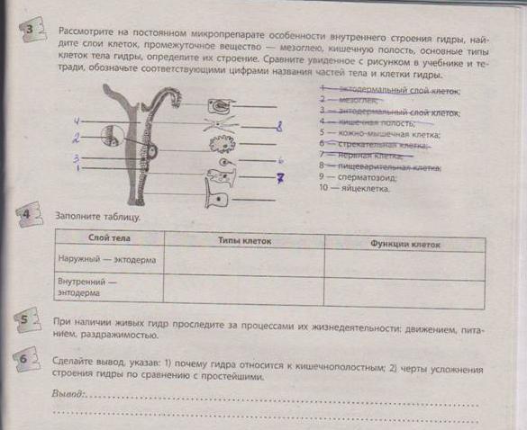 Даркнет площадки