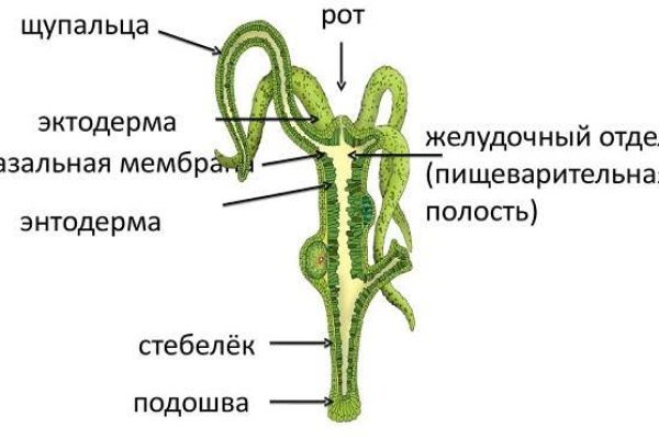 Kra37at